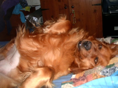 Silly Sadie Rose!